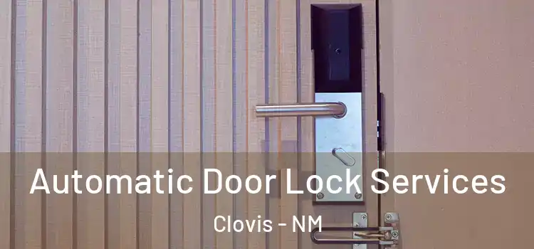 Automatic Door Lock Services Clovis - NM