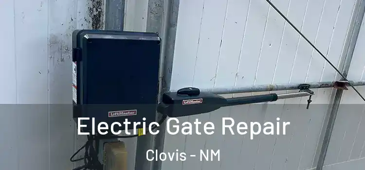 Electric Gate Repair Clovis - NM
