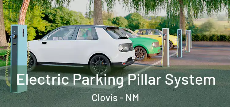 Electric Parking Pillar System Clovis - NM