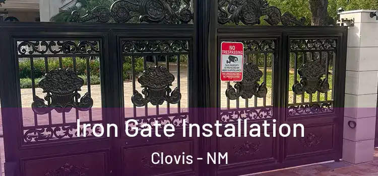 Iron Gate Installation Clovis - NM