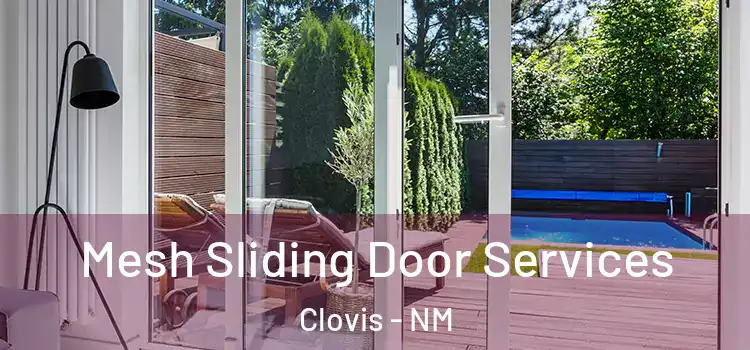 Mesh Sliding Door Services Clovis - NM