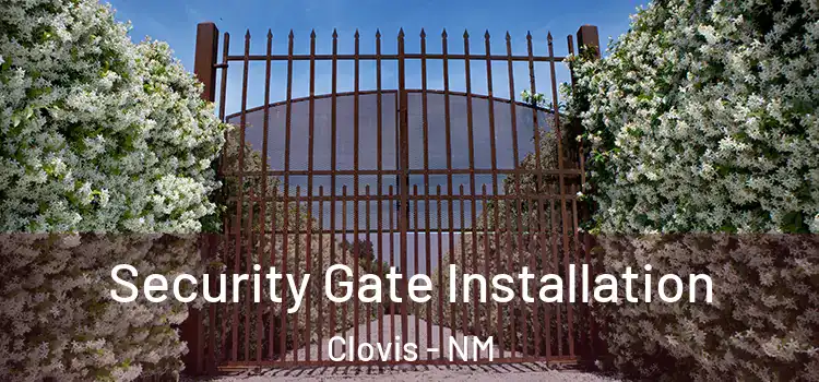 Security Gate Installation Clovis - NM